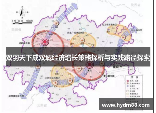 双羽天下成双城经济增长策略探析与实践路径探索